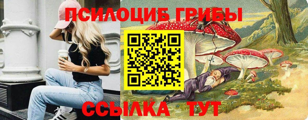 Псилоцибиновые грибы мухоморы  Галлюциногенные грибы Magic Shrooms  наркотики  Реутов  Вход с VPN 