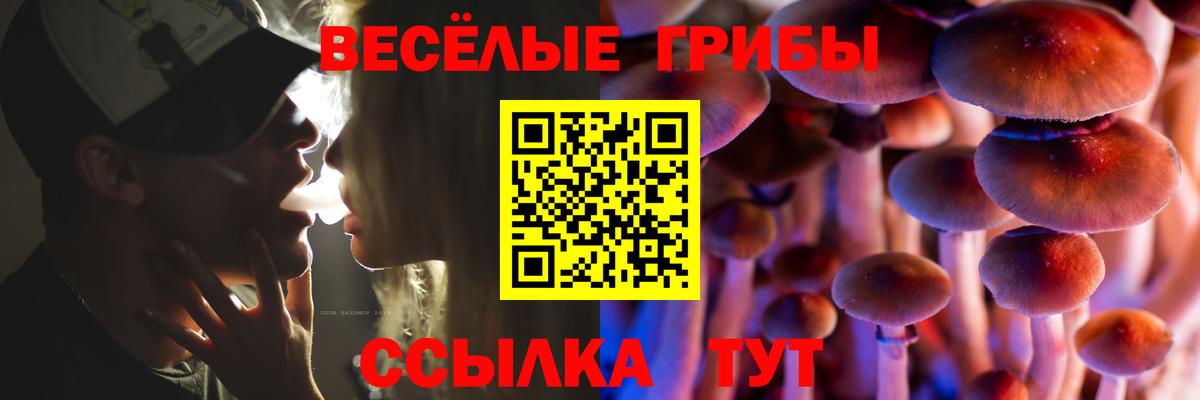 Галлюциногенные грибы прущие грибы Реутов